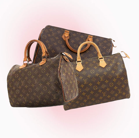 Louis Vuitton Monogram Speedy Box
