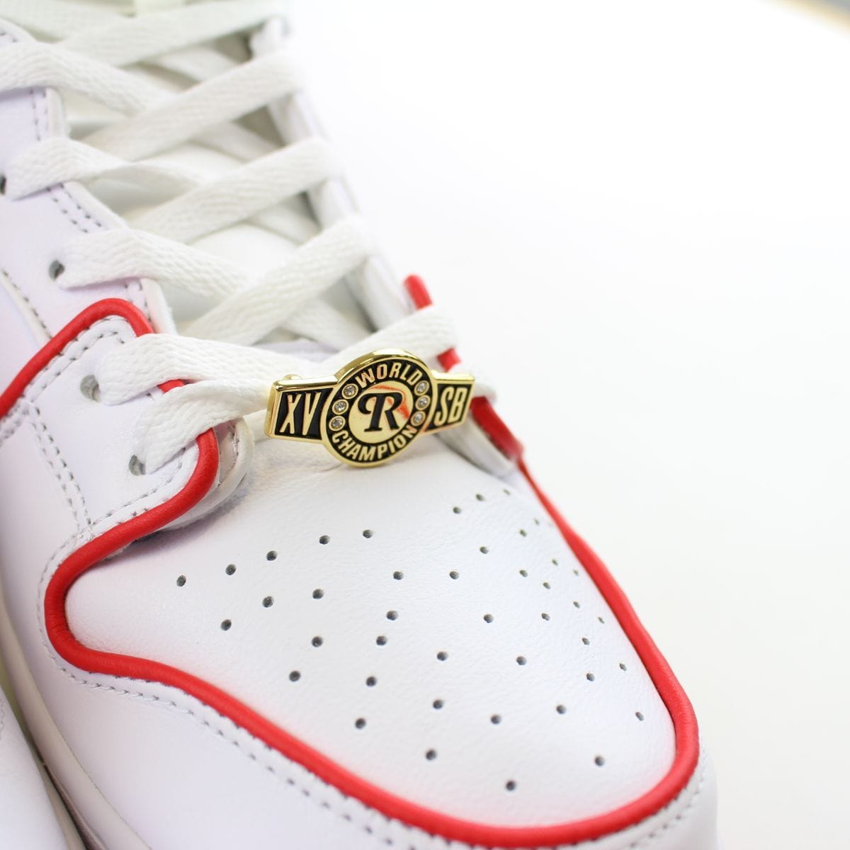 Nike Dunk High Paul Rodriguez - SaruGeneral